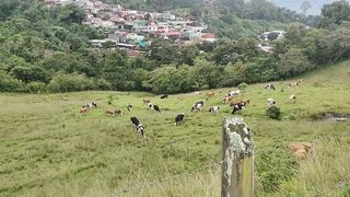 Segundo en le campo