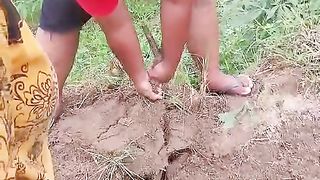 Panen Singkong
