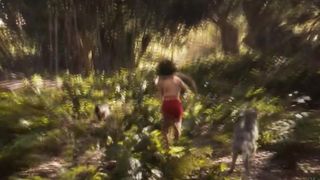 Nature Animals The Jungle Book scene 4K HD