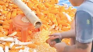 Keahlian membuka jagung