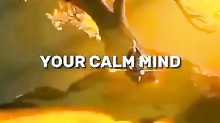 YOUR_CALM_MIND_IS_YOUR_????????~_Master_????