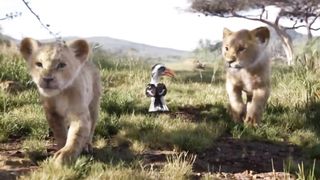 Nature - Animals - I Just Can't Wait to Be King -  The Lion King 4K HD