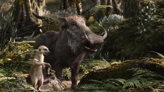 Nature - Can You Feel the Love Tonight - The Lion King - 4K HD
