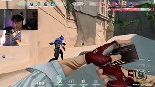 chamber ace in lotus