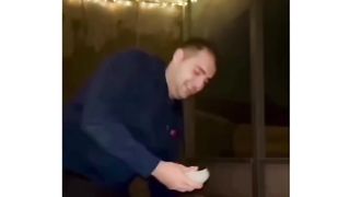 Funny videos