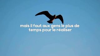 Vous devriez connaître et accepter ces 3 réalités