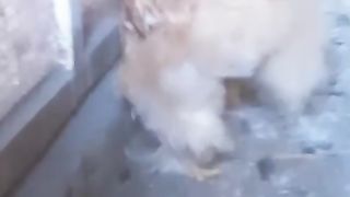 Let me eat something