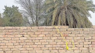 Nice video
