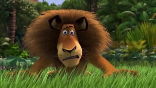 Nature - What a Wonderful World - Madagascar - Animals life