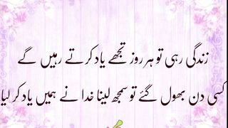 زِندگی رہی تو ہر روز
