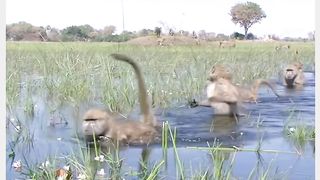 Shahar se aai gaon wali ladki