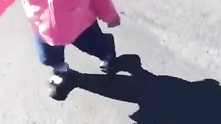 Соясидан қўрқябди