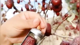 ایک صحابی ائے یا رسول اللہ ﷺ میرا ایک پڑوسی ہے