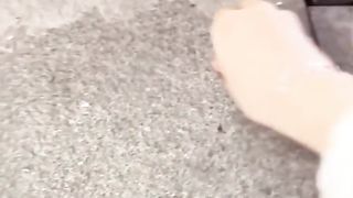 cat vlog