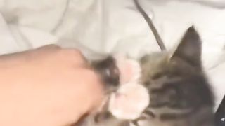 let's play together