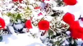 Зимняя зарисовка