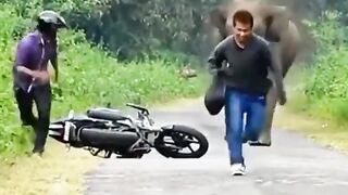 Funny videos ????