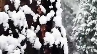 Amazing nature