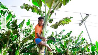 Comedy video must watch