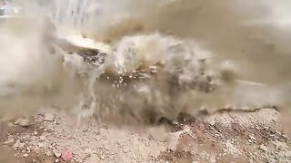 Best funny video 2023