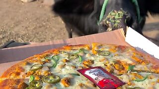Pizza Buffalo