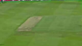 Shaheen bowling