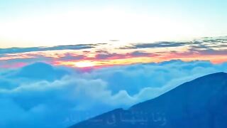 Surah Sajda status video