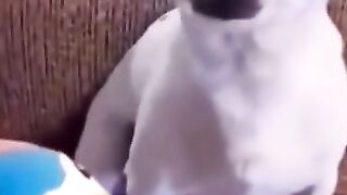 super funny