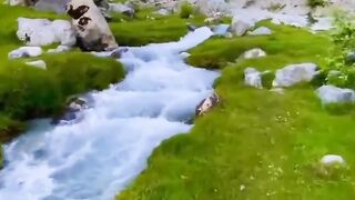 Beatiful Nature #Shortvideo /Nature’s Memorable
