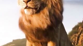 King of the forest Lion King