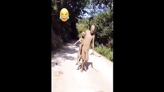 Funny Dog Video