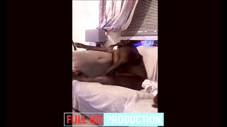 Funny Dog Video I Funny Animal Videos 2022