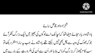 Shahzada aur Qatil Saye Urdu Moral Story Hindi Kahaniya and Islamic Story
