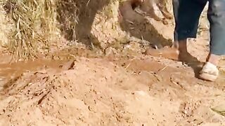 amazing video