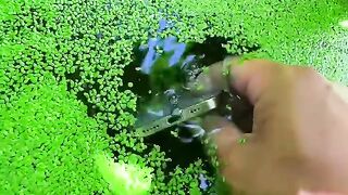 the beauty of nature - You didn't think it was that beautiful satisfying