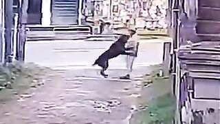 Great save
