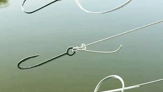 Fishing time, Which one you like?