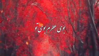 موزیک ویدیو