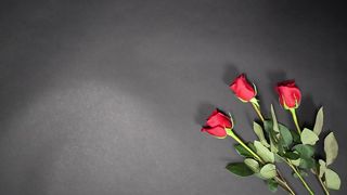 "Valentine's Day Special: Celebrate Love and Togetherness with Tenderness!"