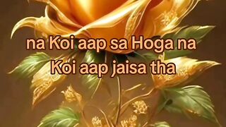 na Koi aap sa Hoga na Koi aap jaisa tha.