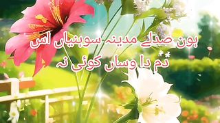 hon sad lay madine Sonia zangi da vasa koie ni.