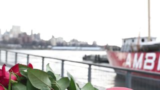 "Love's Euphoria: A Valentine's Day Journey"