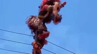 Masquerade  walk on electric cables