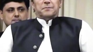 niazi