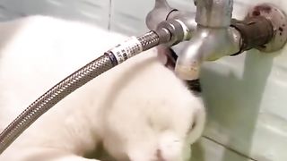 Ketika Si Mbuuul Mencoba Menangkap Air