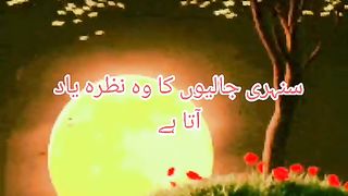 sunhari jaliyon ka vah najara yaad ata ha.