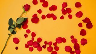 "Love's Eternal Flame: A Valentine's Day Tribute"