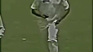 Cricket ????