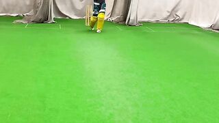 Cricket reels