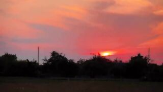 Surah Al Shu,ara /Verses